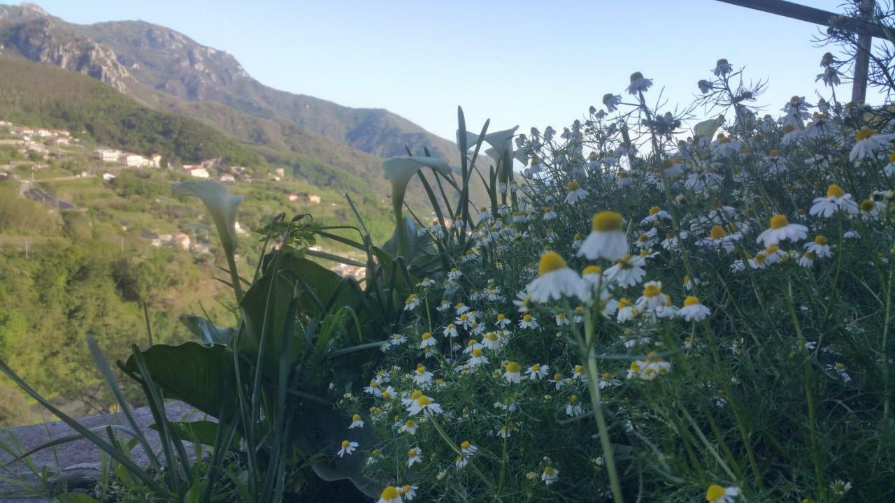 Villa I Tredici Casali Tramonti Exterior foto